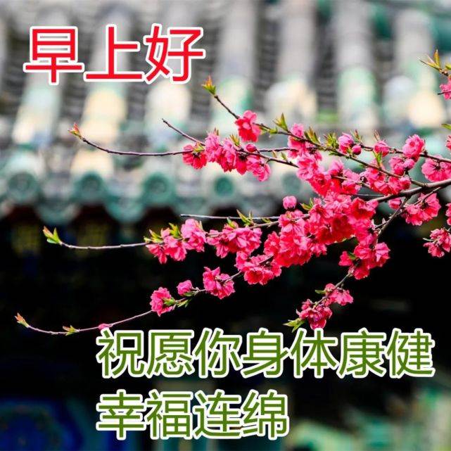 最美早上好問候語圖片帶字早安祝福動態圖大全（早安祝福語配圖片早安問候語帶圖片）