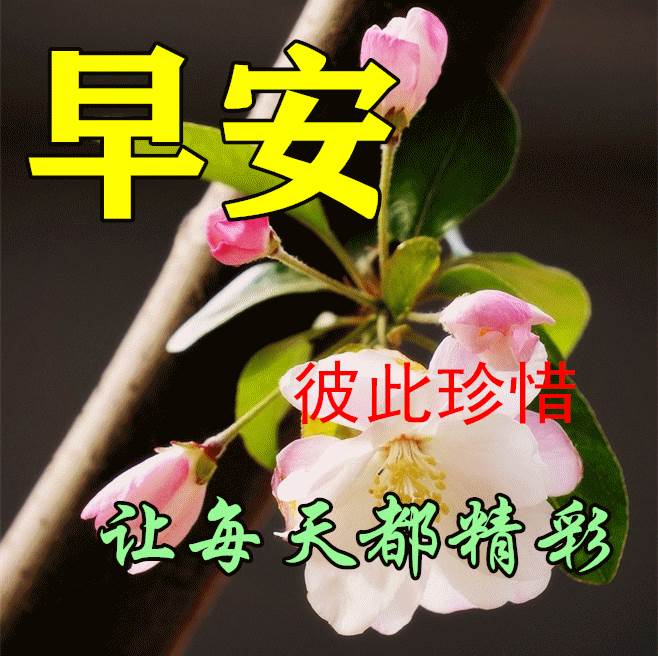 2月8日早上好祝福圖片_四月一日早上好祝福語