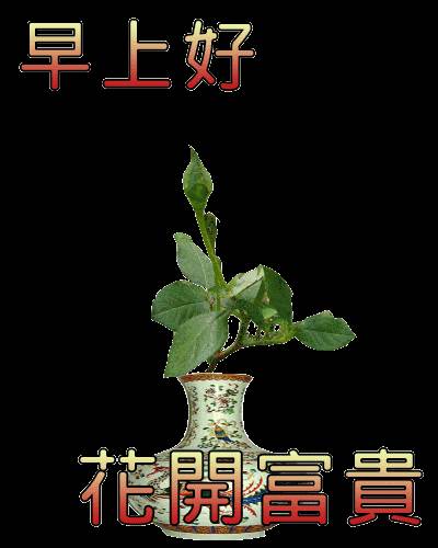 早上好祝福帶字美麗圖片 上午好圖片帶字祝福語