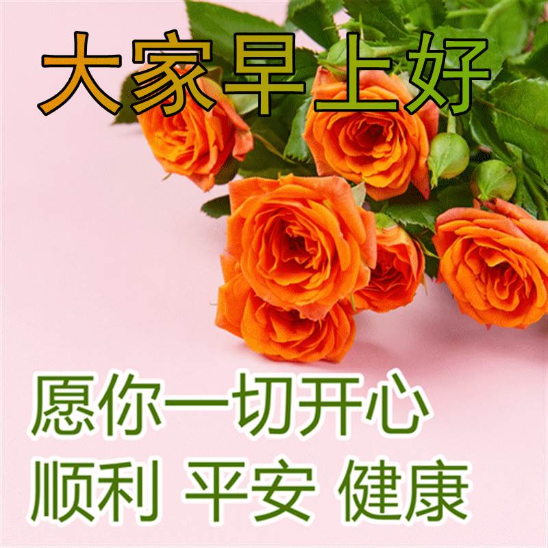 最新的早上好動態問候祝福語圖片大全 早上好問候語大全早上好祝福語表情圖片