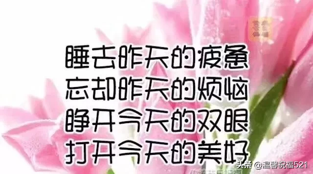 最暖心的早安句子早安心語經典語錄簡短 早安祝福的話語