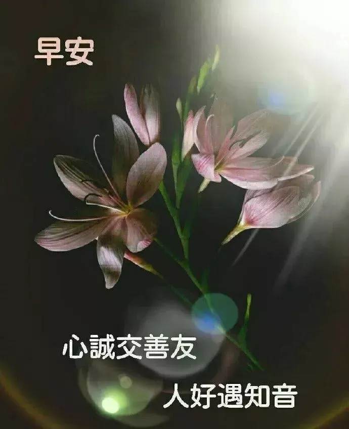 早安溫馨祝福文字圖片（早安帶字祝福快樂圖片）