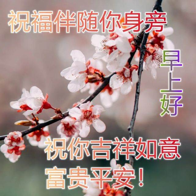 最美早上好問候語圖片帶字早安祝福動態圖大全（早安祝福語配圖片早安問候語帶圖片）