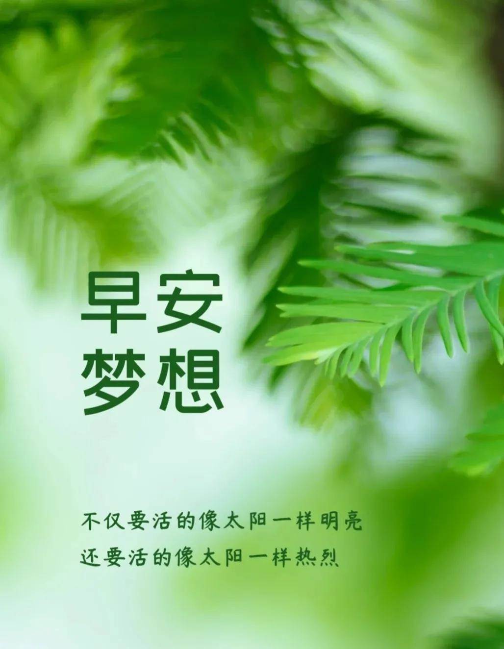 早安問候的朋友圈文案 朋友圈早安圖片和文案