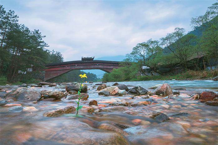 麗水美景句子 麗水風景圖片