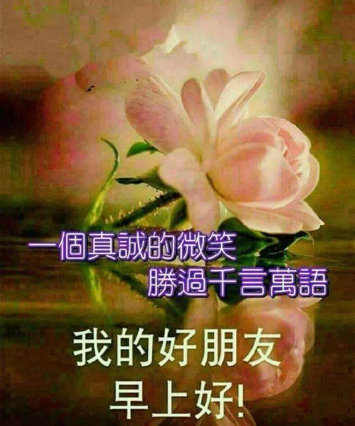 早上好問候圖片文字_問候早上好圖片問候好友早上好圖片問