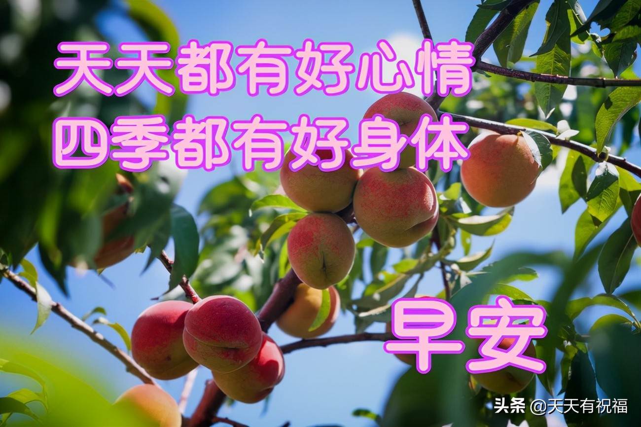 早安圖片問候語唯美表情包（早安祝福語圖片早安動態圖片帶字）