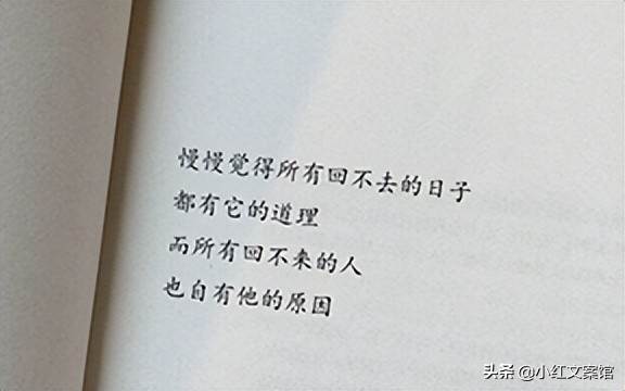 陽光早安語錄適合發朋友圈早安的句子（陽光明媚的句子發朋友圈的）