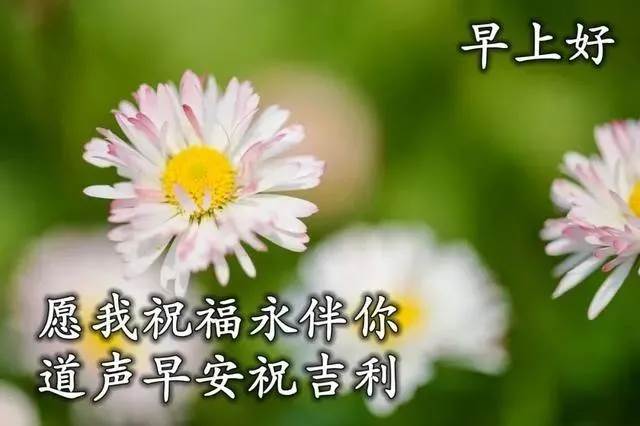 朋友早安溫馨問候短信 給朋友清晨早安祝福語