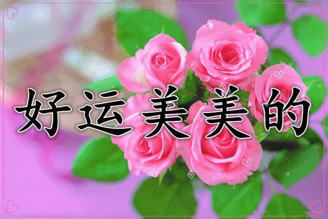 早安祝福語圖片早安動態圖片帶字_早安暖心祝福語圖片帶字