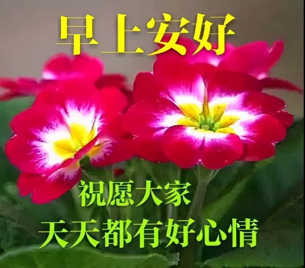 特別漂亮的早安祝福動態圖片大全（早安圖片大全漂亮動態問候語）