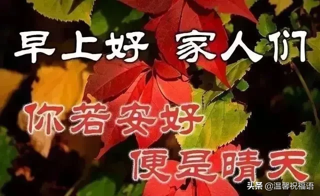 發給朋友圈的圖片帶字_祝福語圖片帶字文字