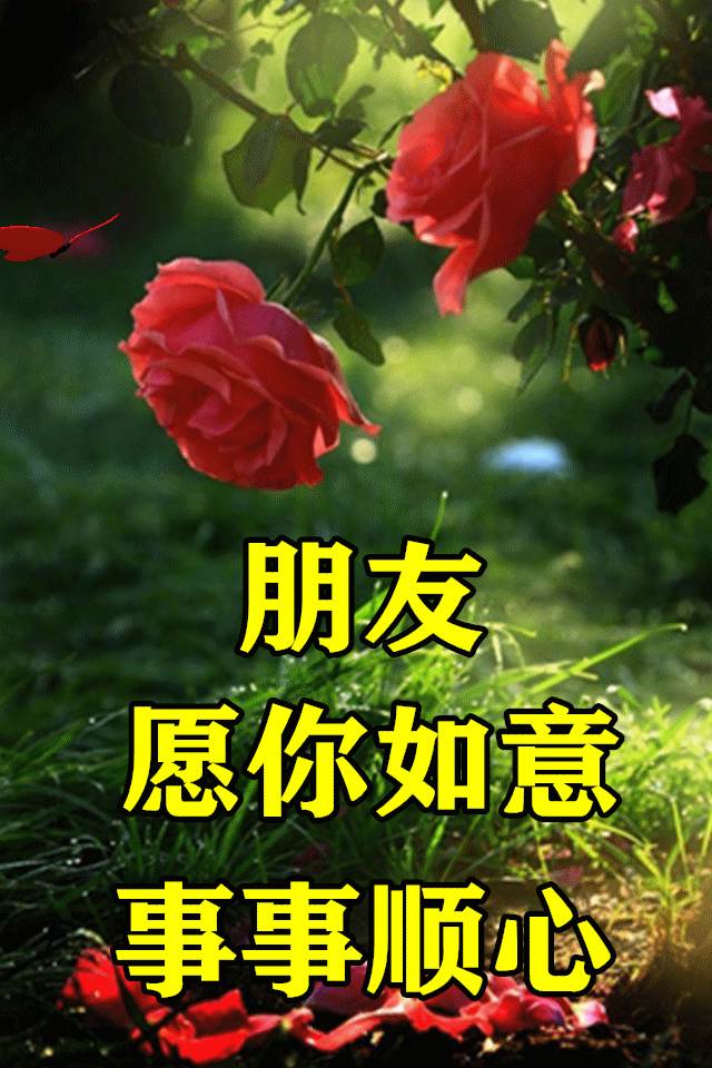 早安好圖片漂亮問候語動態圖溫馨（早安祝福語配圖片早安問候語帶圖片）