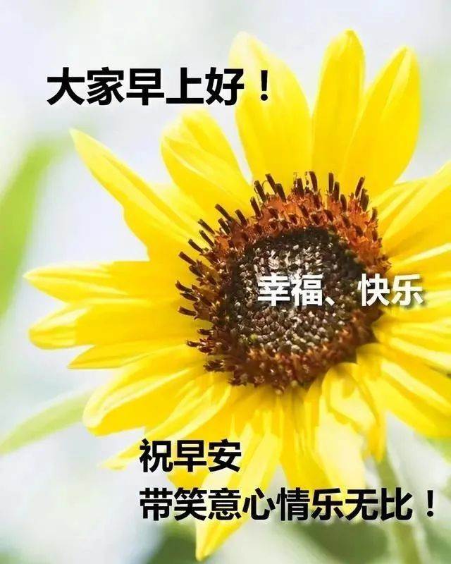 勵志早安心語朋友圈圖片_早安勵志語朋友圈配圖