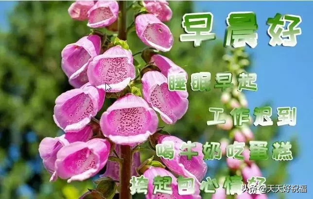 2022全新的早安祝福句子 2022最新早安溫馨祝福語