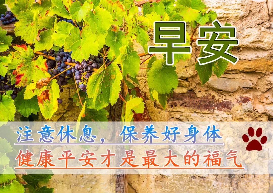 祝福早安的唯美句子圖片文字_早安溫馨祝福文字圖片