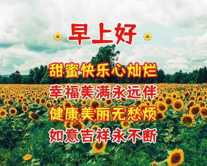 祝福早上好的話語（早晨暖心的祝福語）