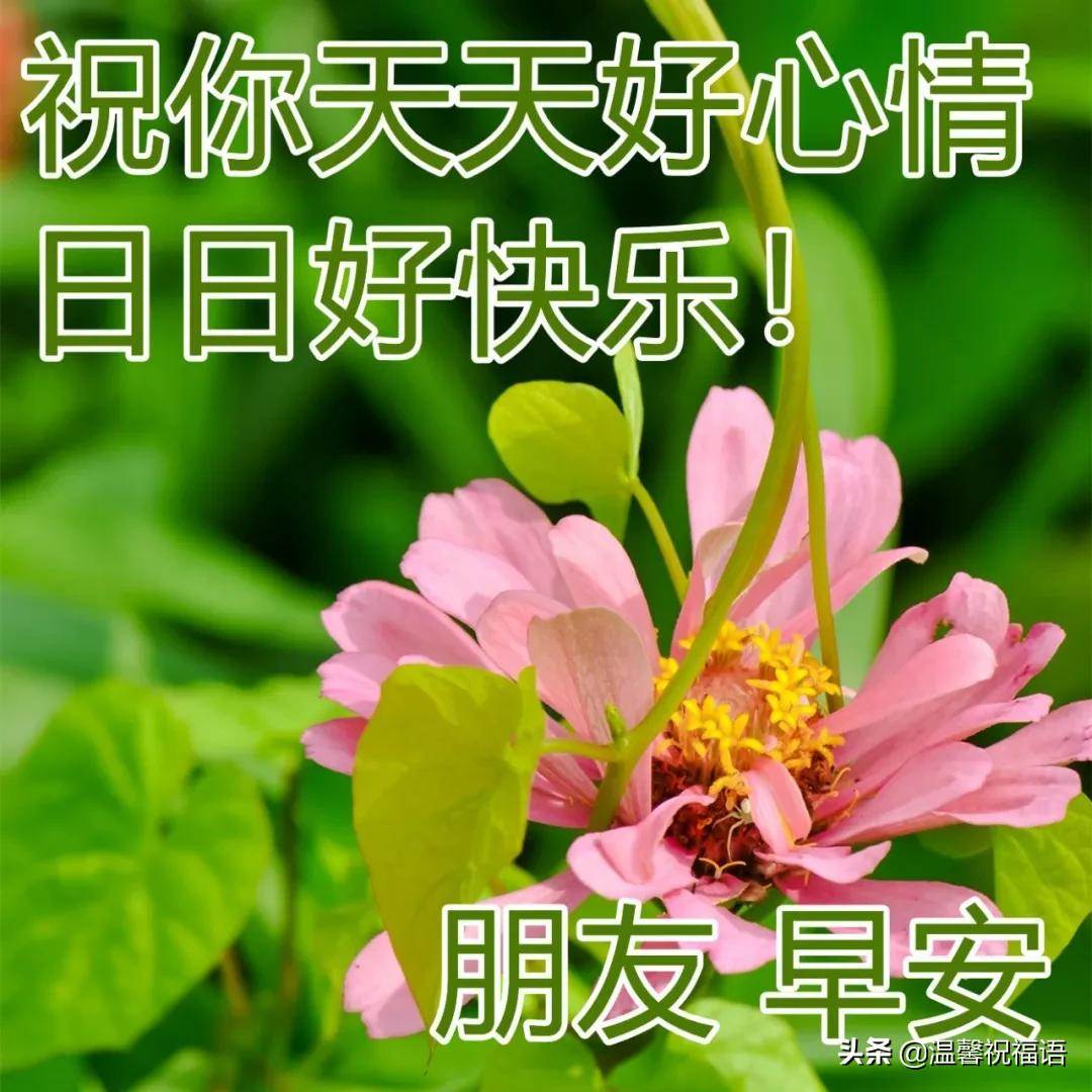 正月初九祝福語大全 正月初九寶寶生日祝福語