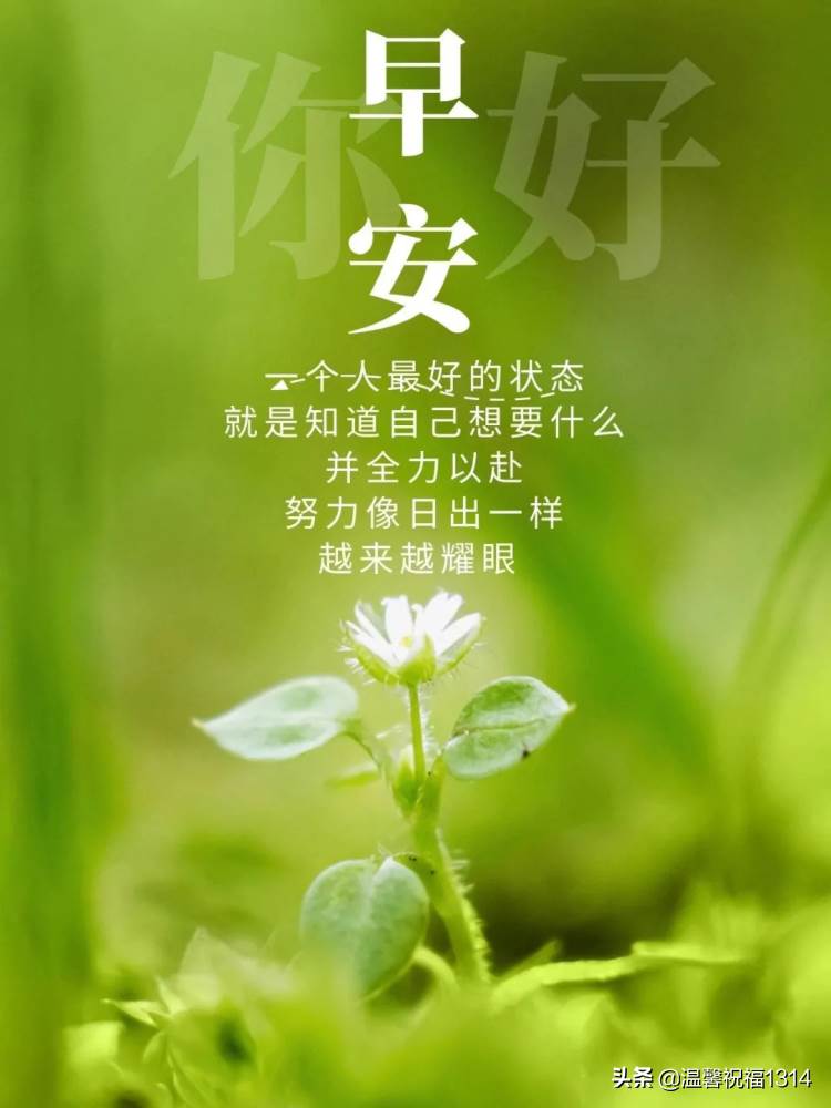 4月早上好祝福語圖 早上好最好的圖片二和語句祝福話