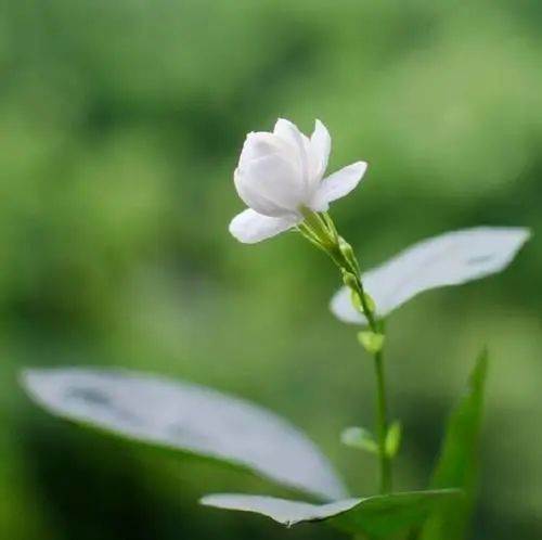 人生需要沉淀經典話句_心靈感悟與哲理人生句子