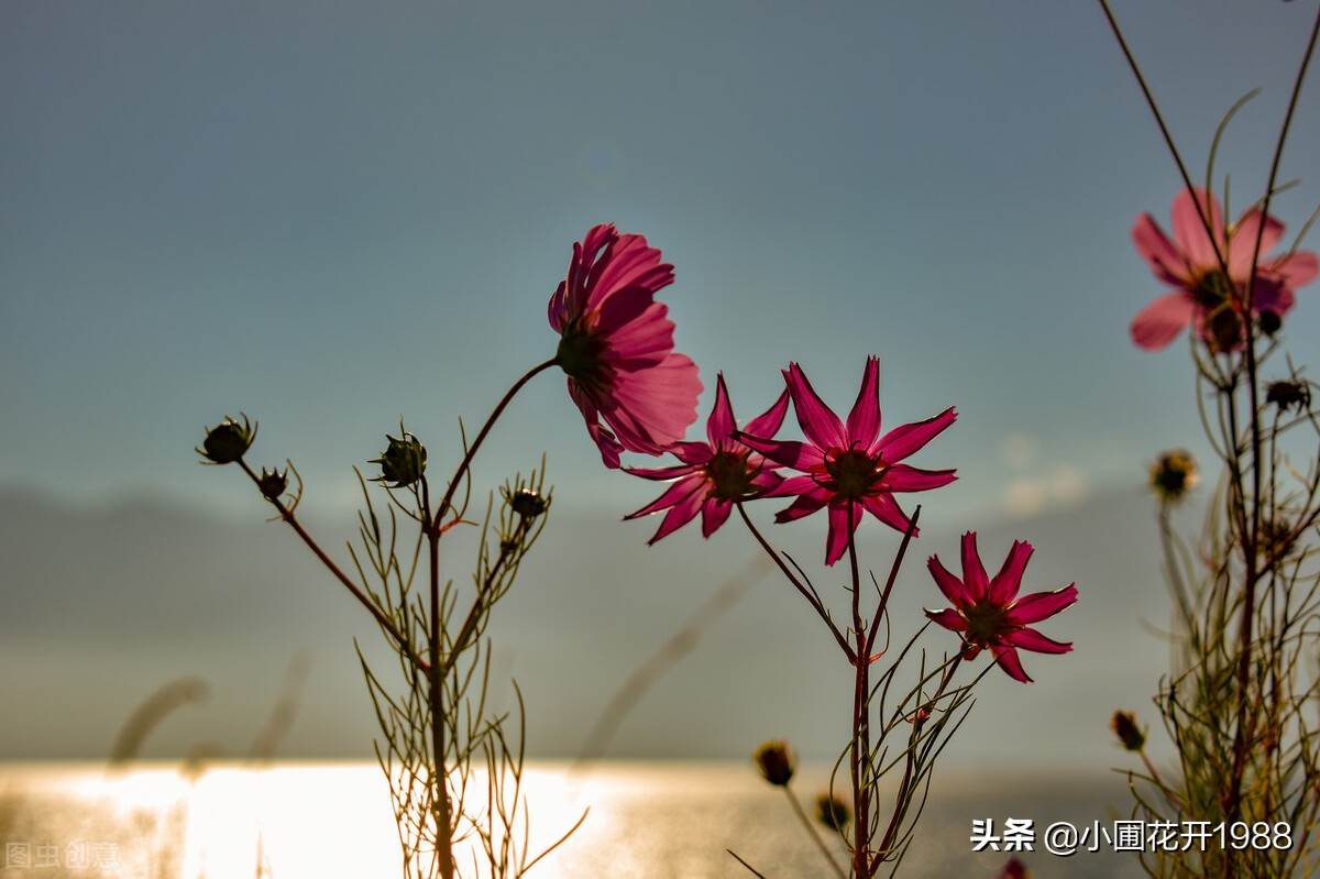 寫給自己的祝福語 祝福你的句子