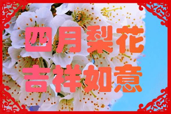 明日元旦祝福語（最新早上好朋友問候）