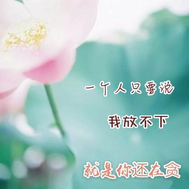 心靈雞湯（唯美的句子2022）