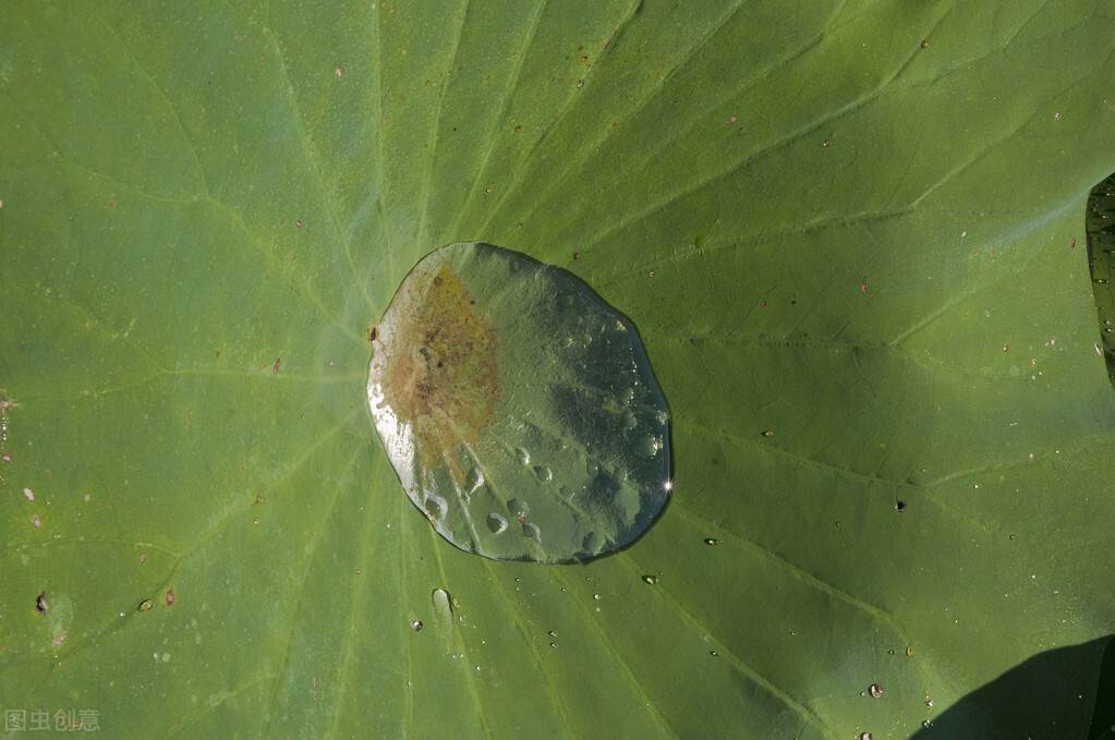 比水還干凈的文案 關于水好的文案