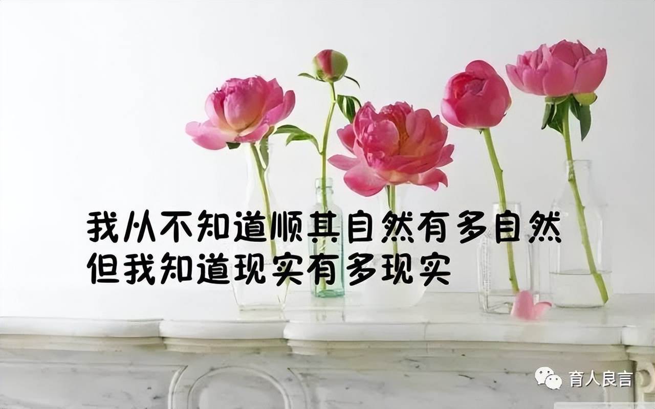 有深度的人生哲理句子（哲理句子人生感悟精辟）