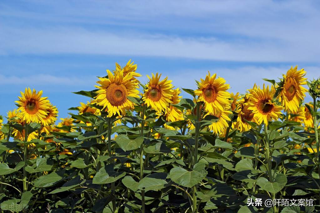 適合早上發給客戶的句子（和客戶說早上好的句子）