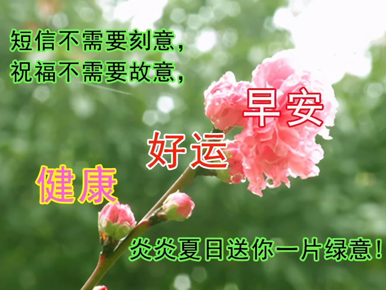 早上圖片問候表情圖片祝福語（最新的早上好動態問候祝福語圖片大全）