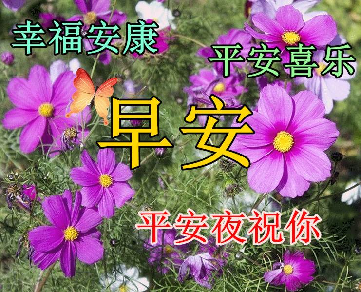 平安夜圖片動態祝福平安順利圖片（平安夜快樂的動態圖片）