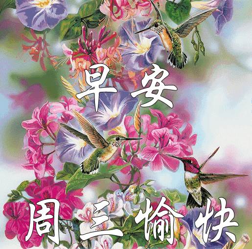 特別漂亮的早上好圖片祝福語 周四早上好祝福圖片