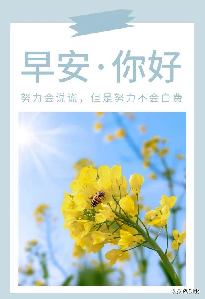 早安文案積極向上（早安正能量打卡語句）