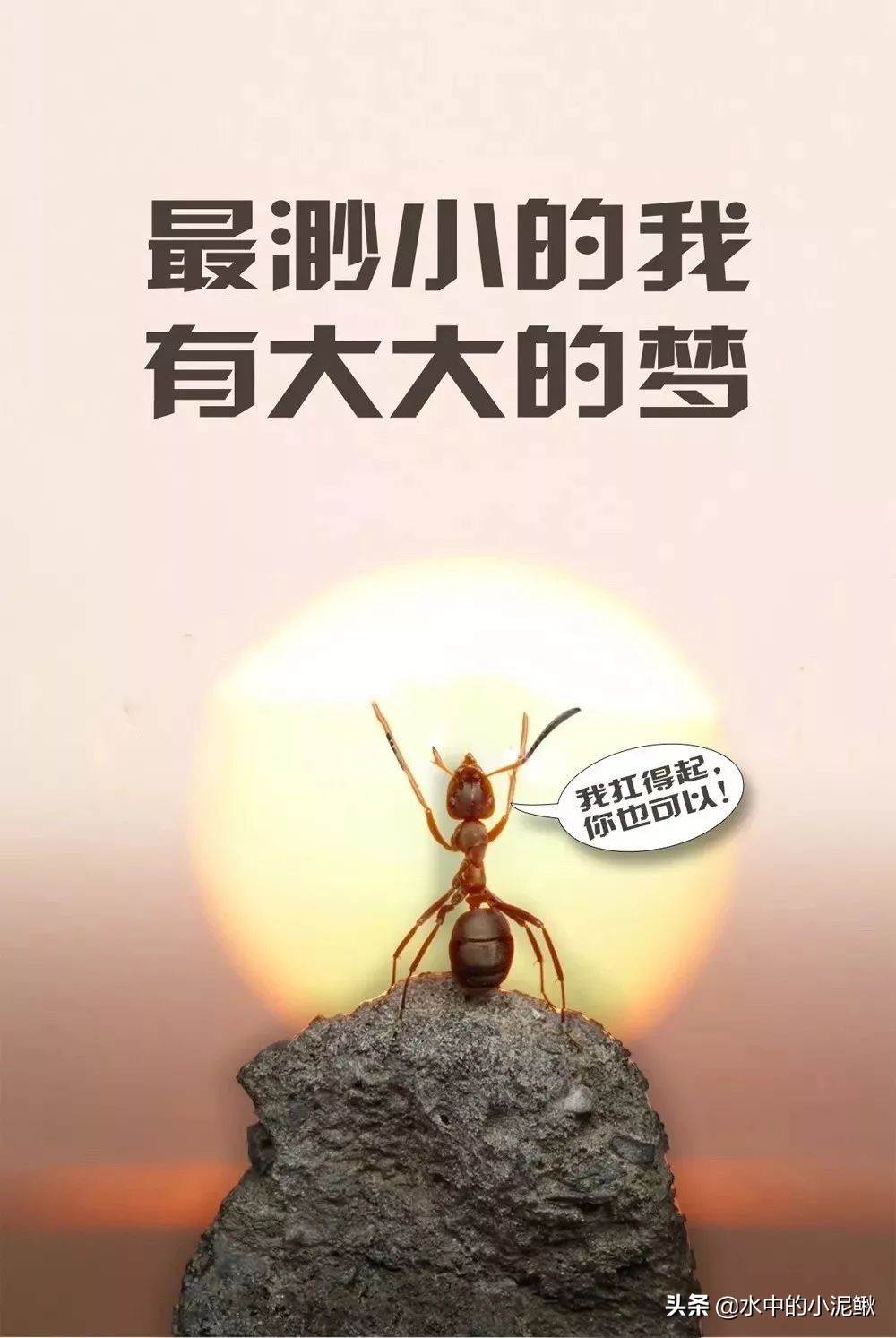 五月你好早安說說（五月一號說說好詞早安）