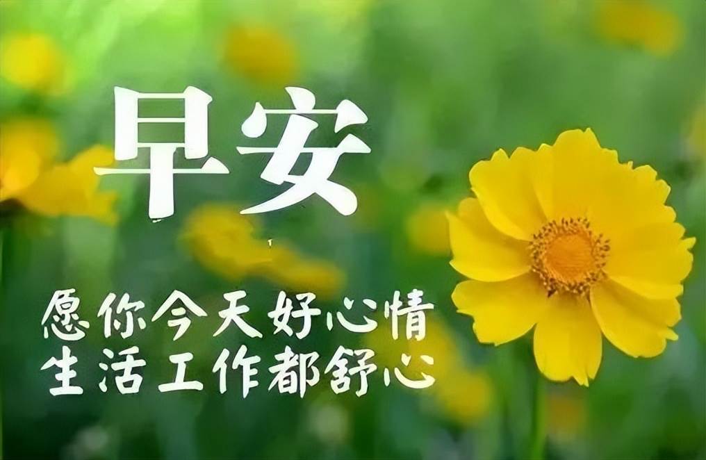 早安圖片問候語勵志正能量（正能量的早安心語勵志圖片大全）