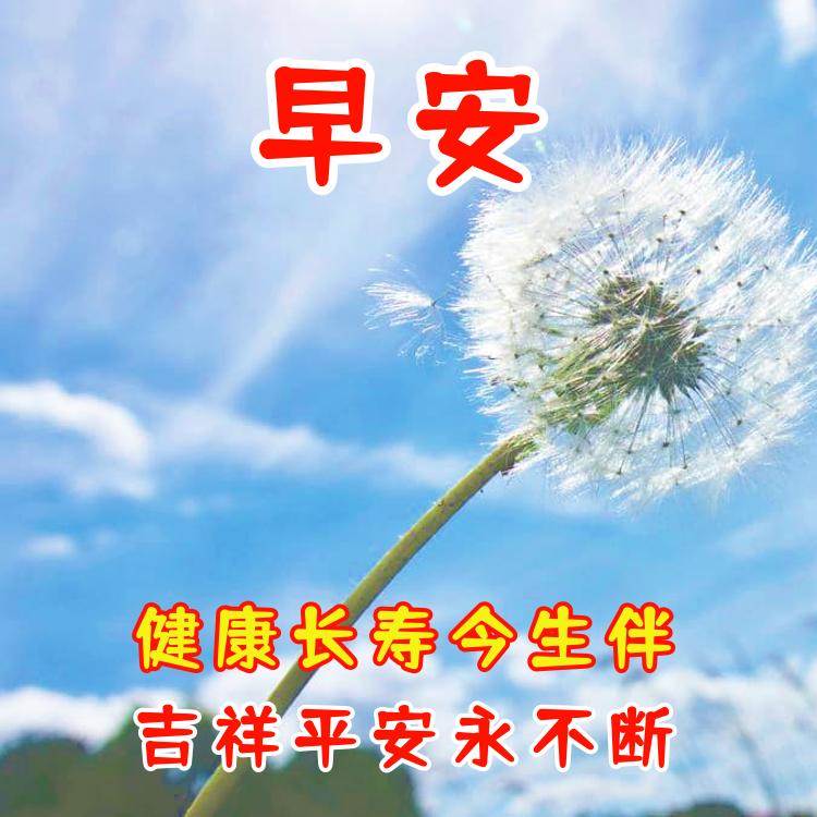 祝福平安快樂早上好的語（早上問候祝福語開心快樂的）