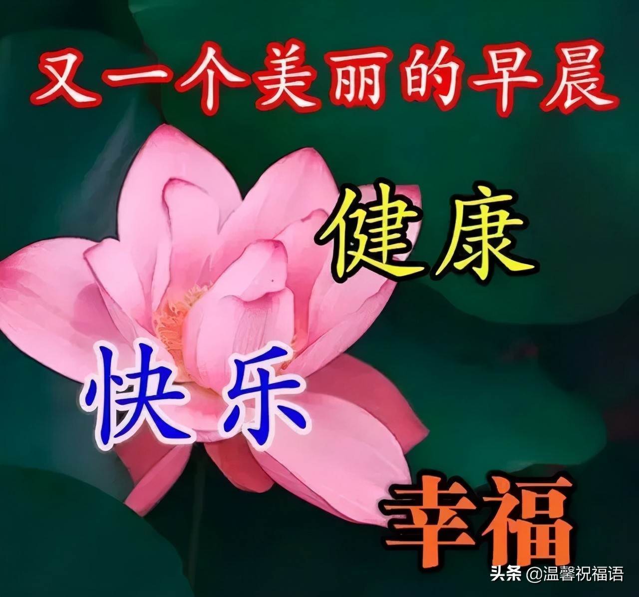 早上好祝福語優美句子動態圖片_早上好暖心問候句子配暖心表情圖片