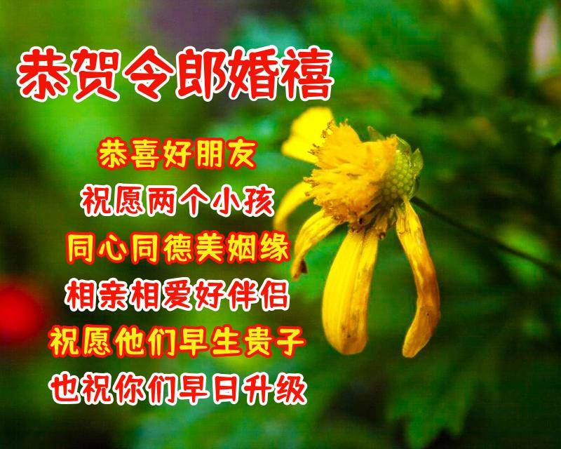 祝福朋友的話和圖片_祝福朋友的話語圖片