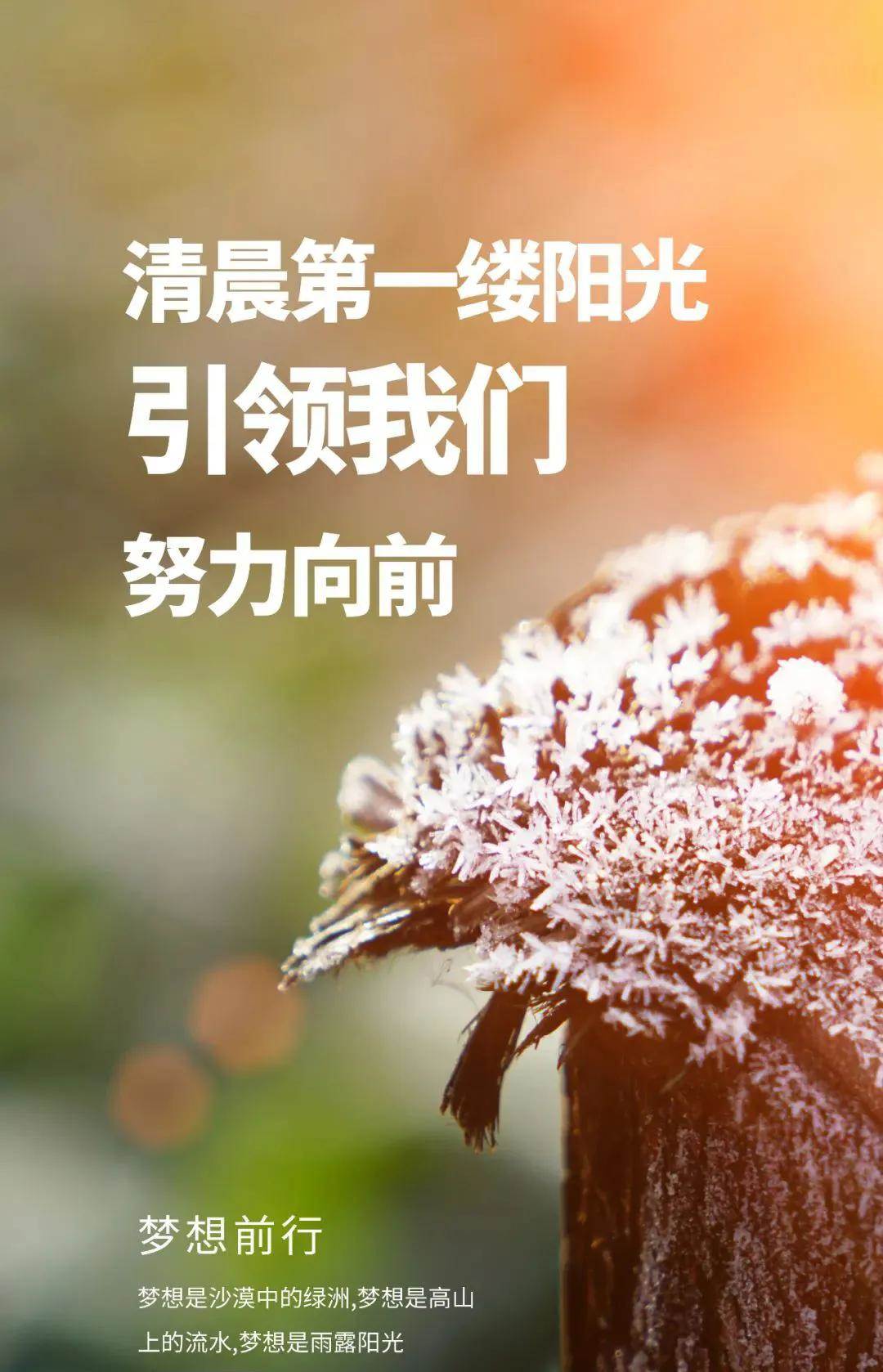 早安充滿正能量勵志語短句（早安努力前行正能量的句子）