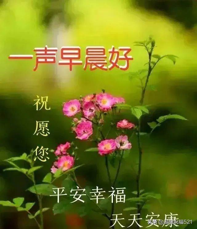 早上好問候語最新圖片（早上好最新問候圖片大全）