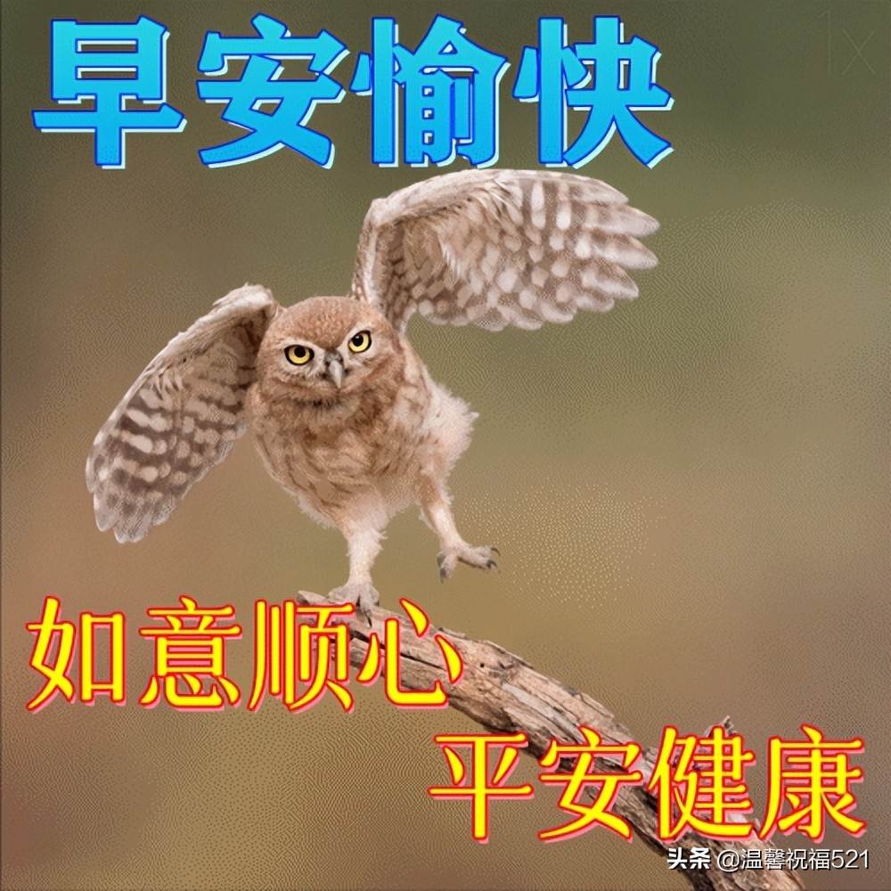 早上最新最好問候語動態圖片大全（最新夏天早上好圖片問候語）