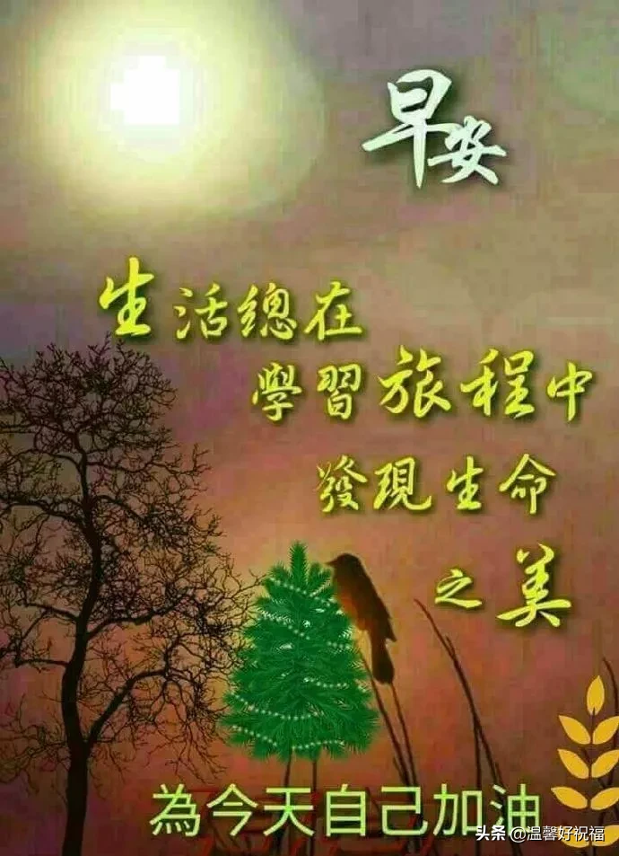 正能量勵志問候語帶圖片 陽光祝福正能量的句子簡短