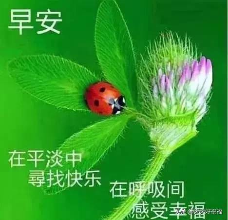 朋友圈的問候和祝福（朋友圈祝福語大全）