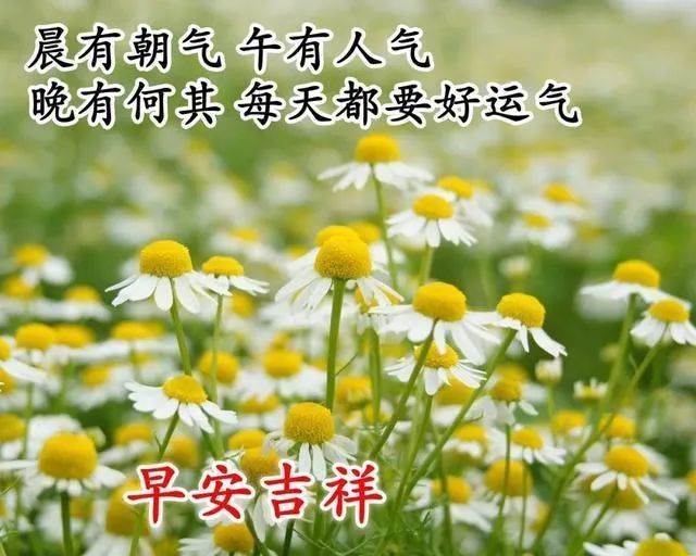 早安正能量勵志語錄（人生感悟的正能量早安句子）