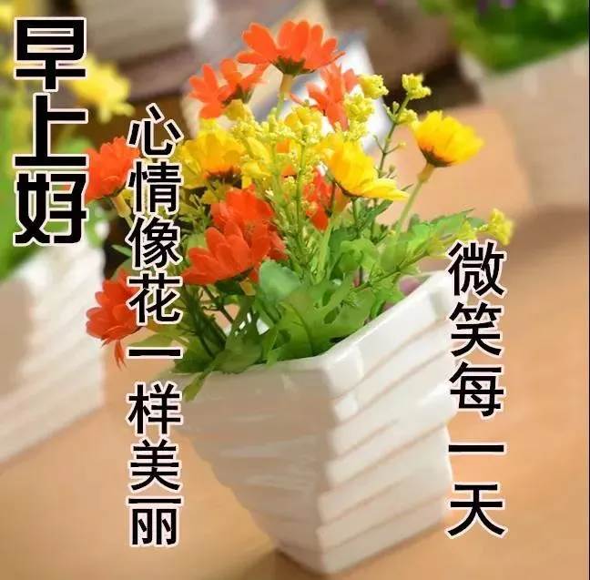 特別漂亮的早安祝福動態圖片大全（早安圖片大全漂亮動態問候語）