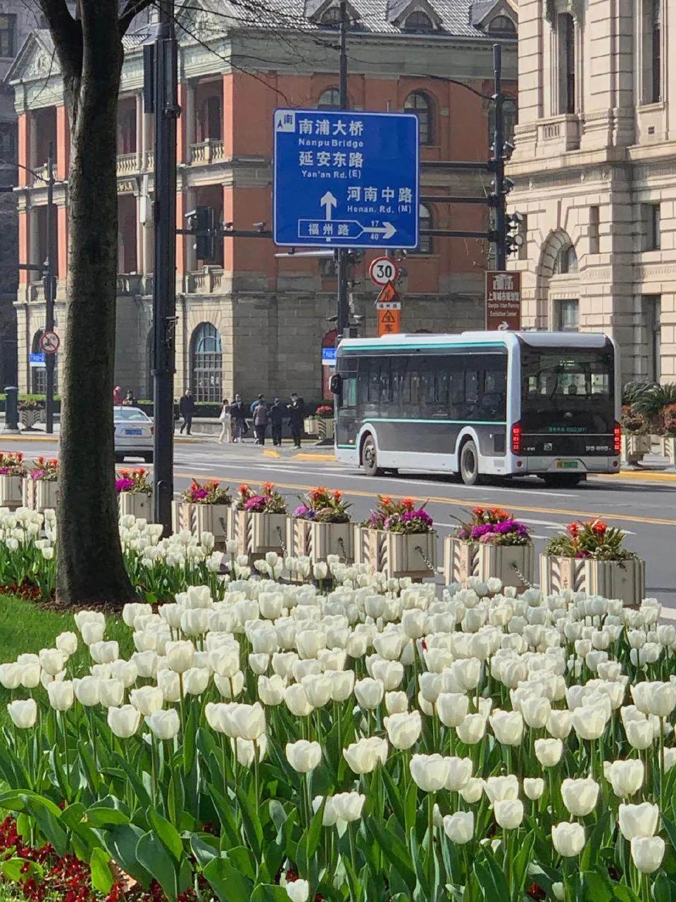 今日份悲傷文案 今日頭條的文案