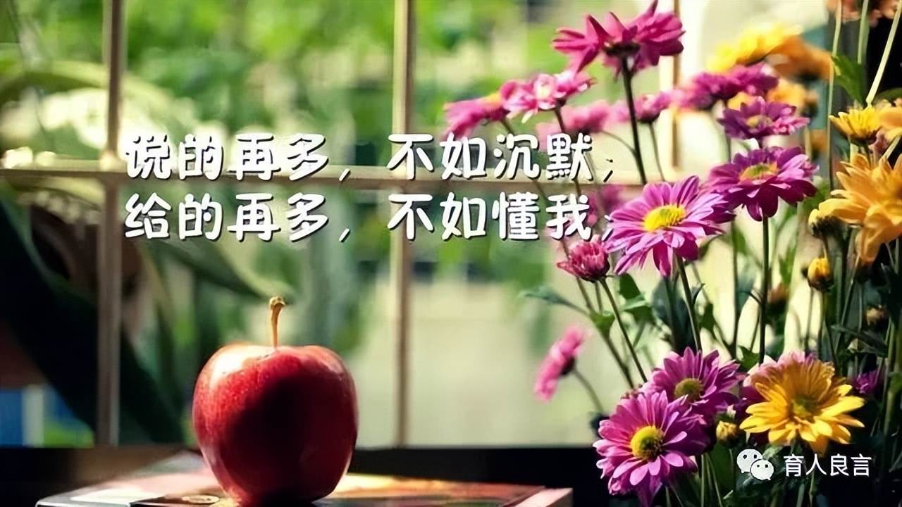 有深度的人生哲理句子（哲理句子人生感悟精辟）