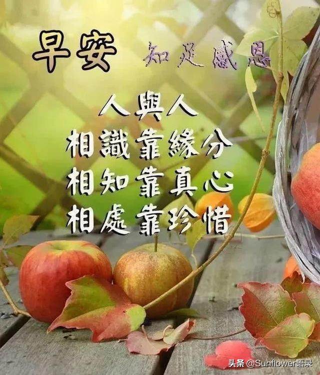 正能量的早安朋友圈文案（積極樂觀向上的朋友圈文案）