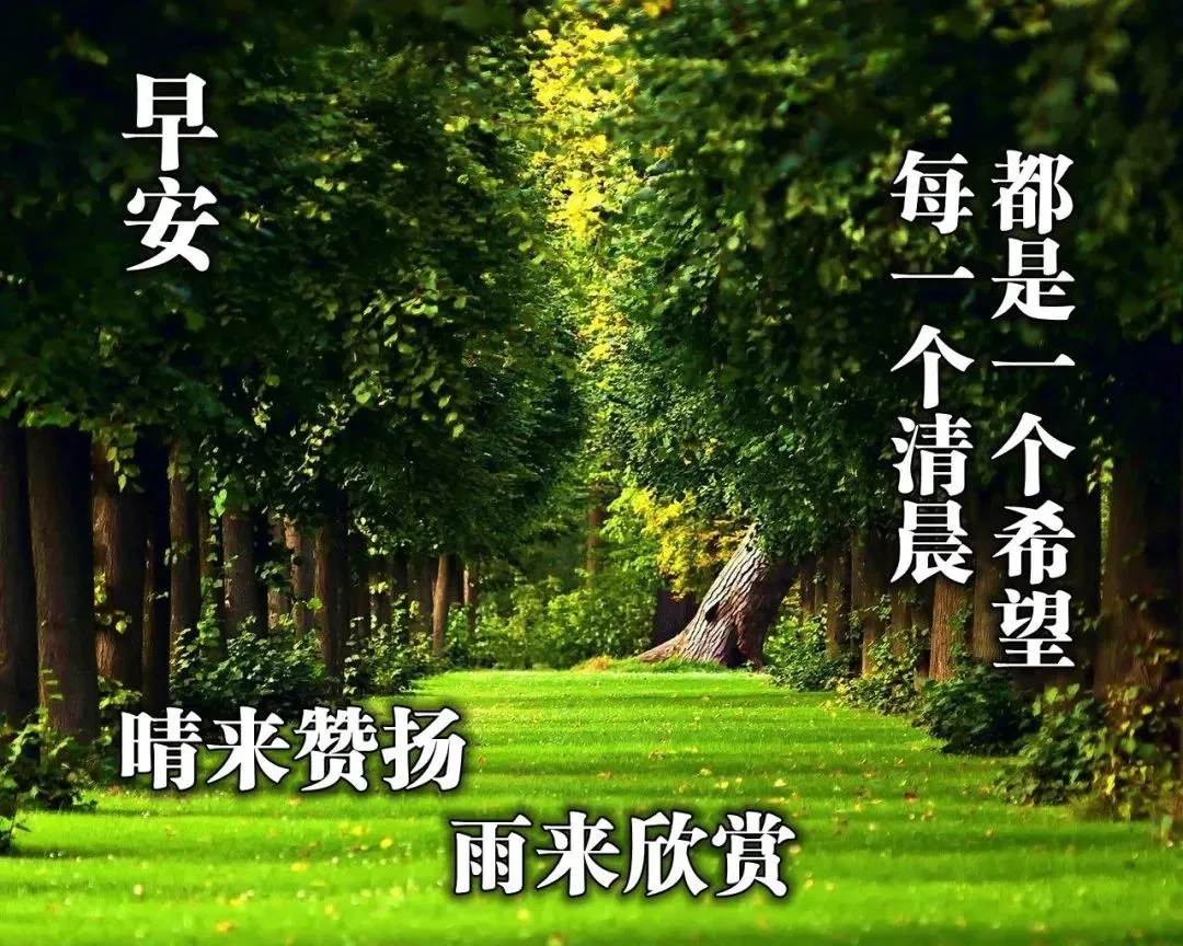 一句話早安心語帶圖片（早安心語正能量圖片加句子）